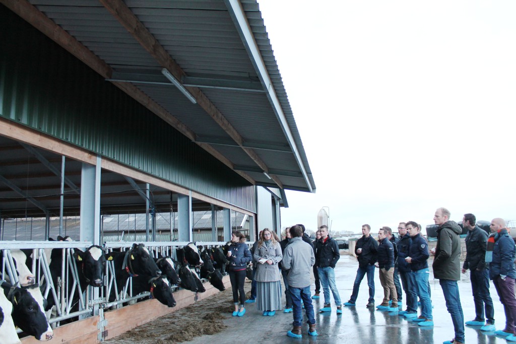 Rondleiding nieuwe stal
